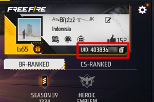 Masukkan Player ID