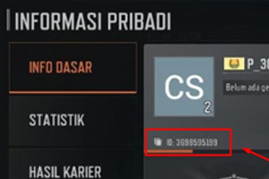 Masukkan Player ID