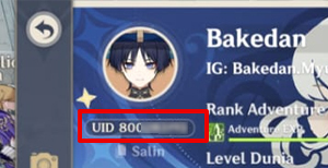 Masukkan Player ID