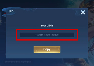Masukkan Player ID