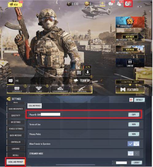 Masukkan Player ID
